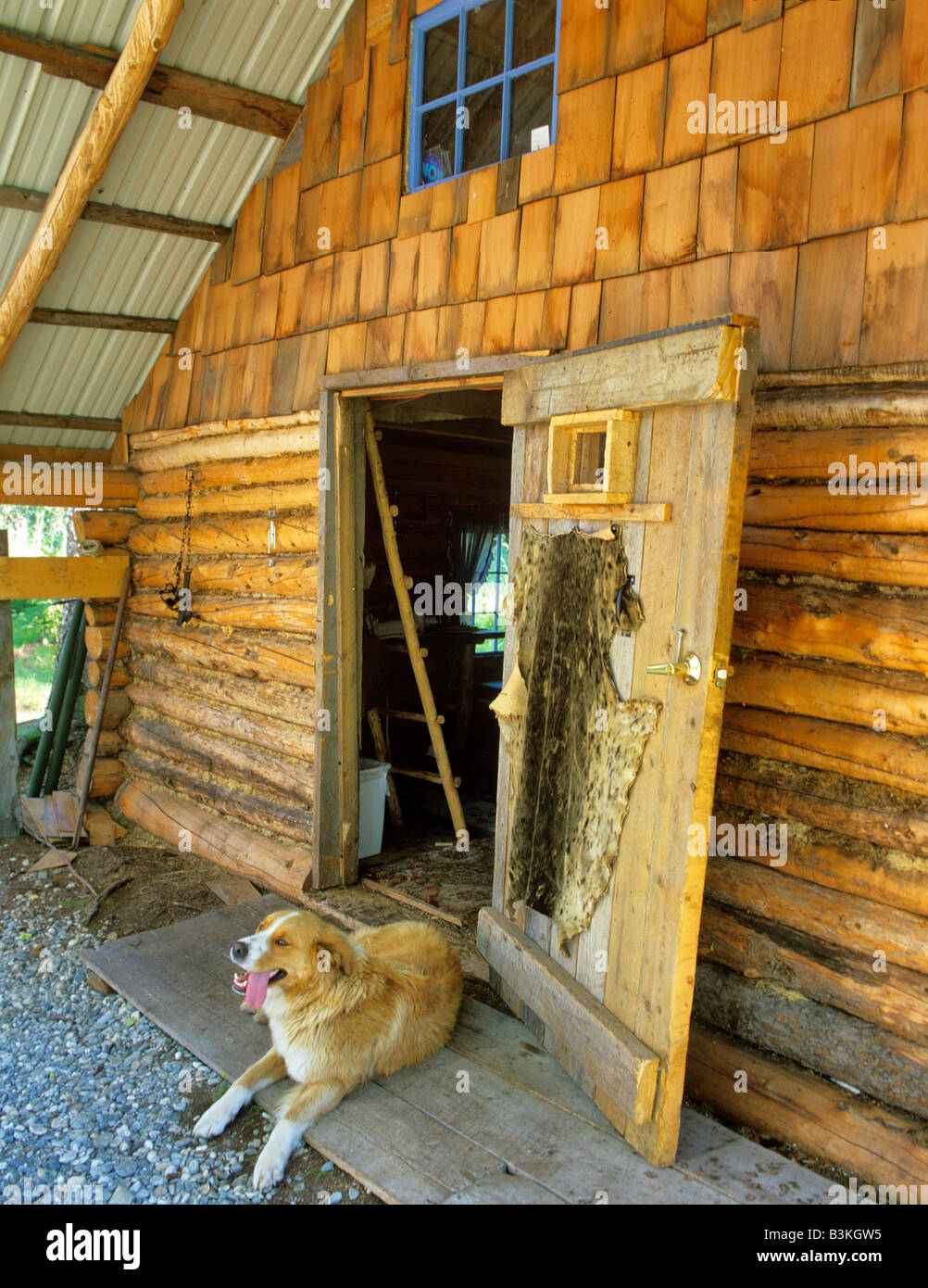 Cabin at Lake with dog in doorway Alaska Stock Photo Alamy