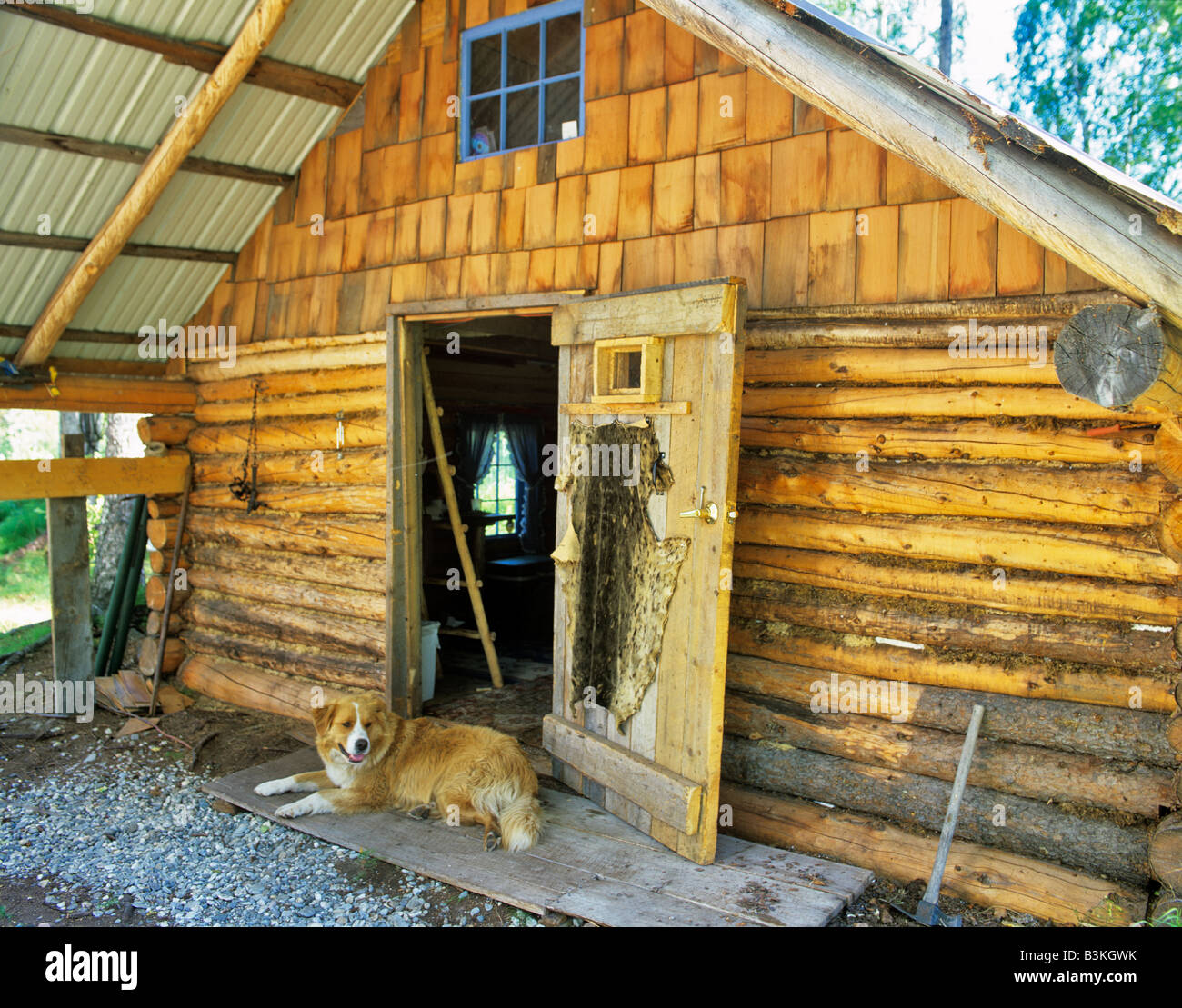 Cabin at Lake with dog in doorway Alaska Stock Photo Alamy