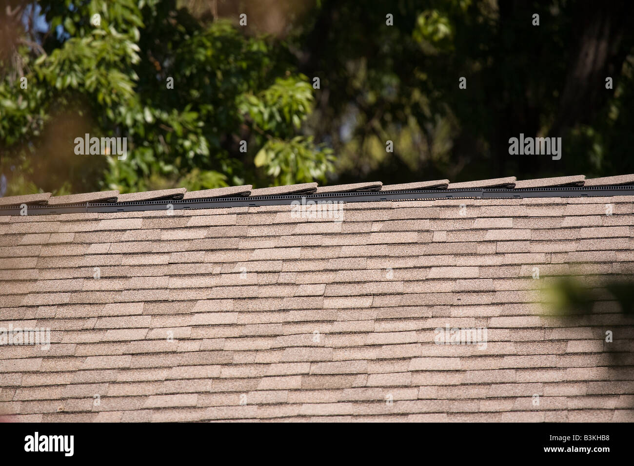 Roof ridge ventilation system Stock Photo Alamy