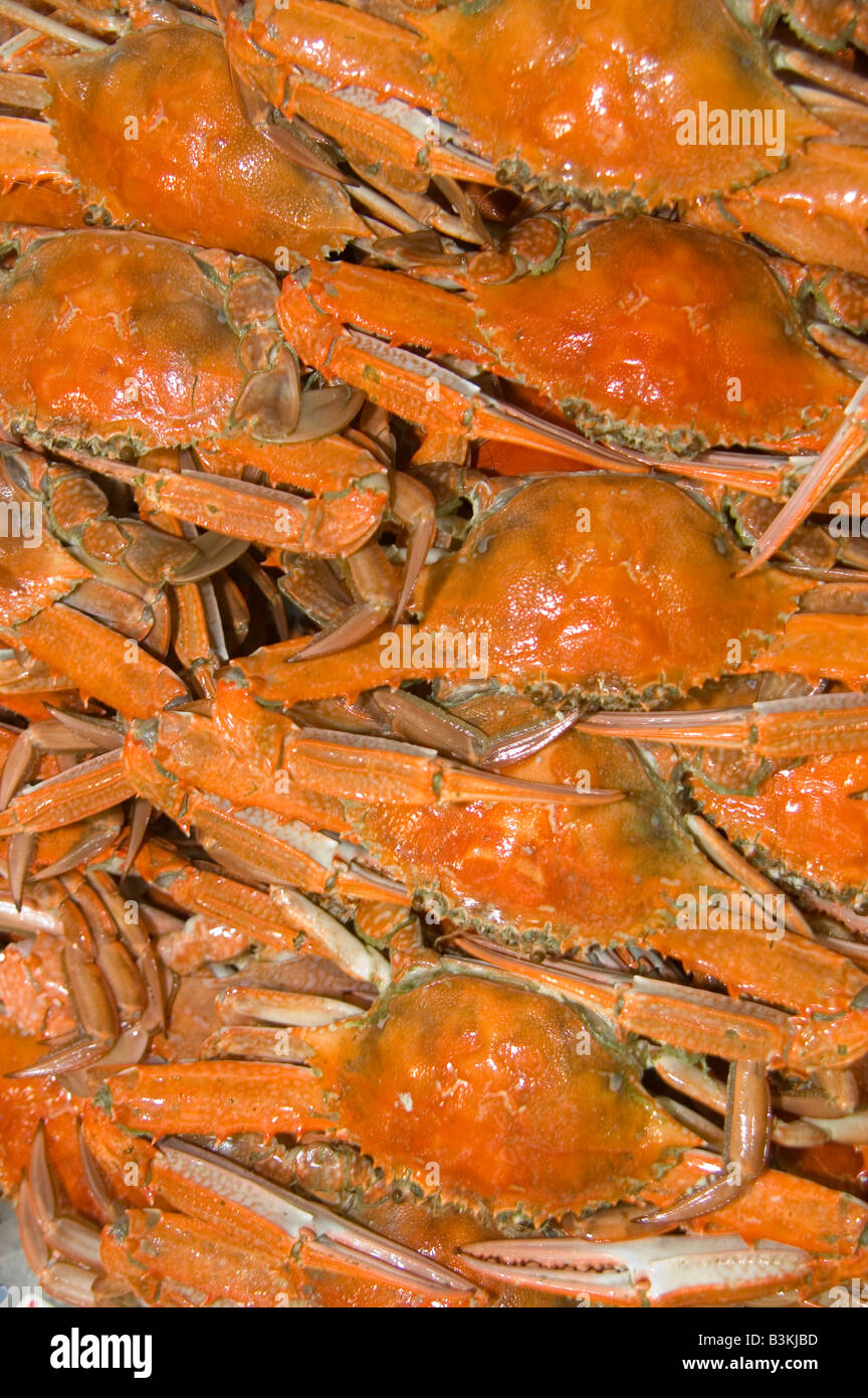 cooked blue swimmer sand crabs Stock Photo