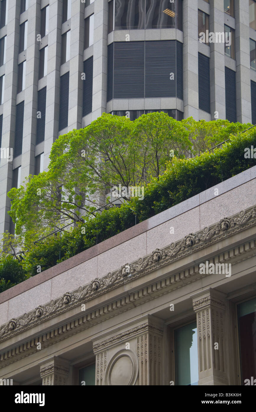 Trees and hedges in a rooftop garden on the Wells Fargo Building in downtown San Francisco Stock Photo