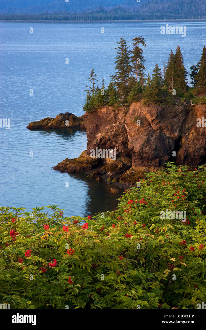 Halibut Cove Kachemak Bay near Homer Alaska Stock Photo Alamy