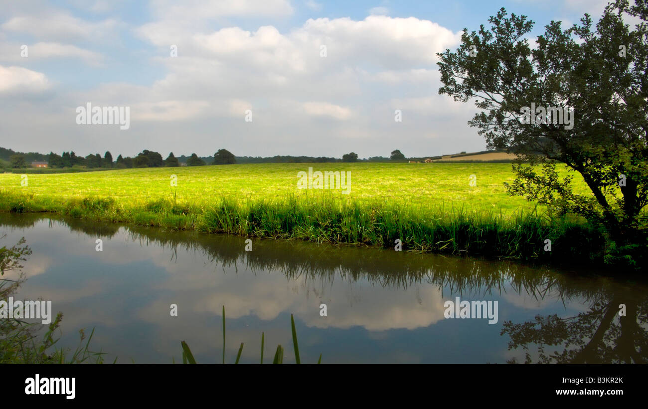 The banks of a river with bushes and trees Stock Photo - Alamy