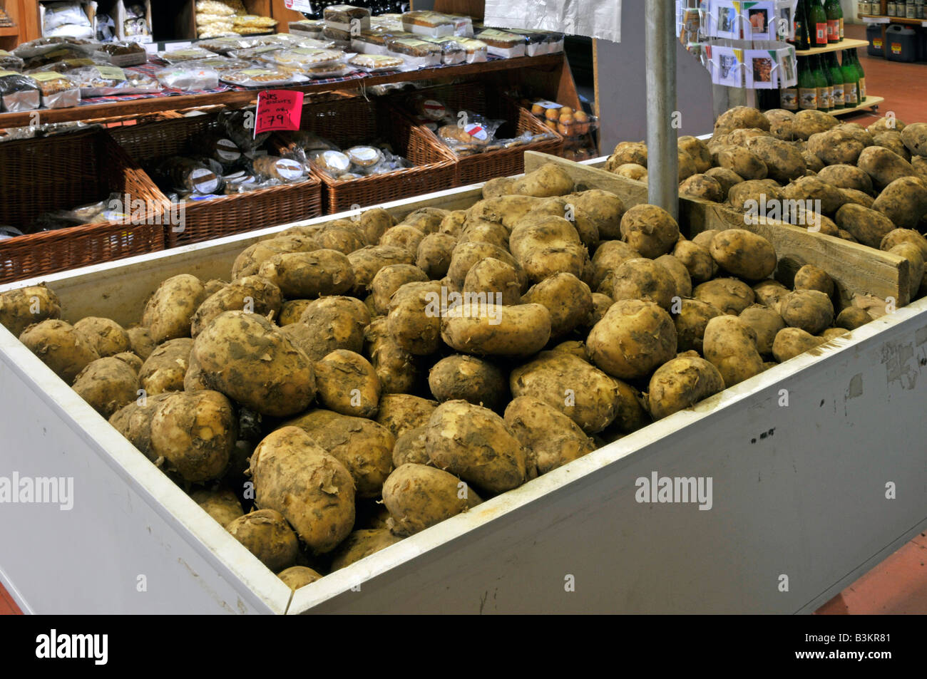 Interior Property Release view of retail farm shop business with Pentland Javelin potatoes in self service box Brentwood Essex England UK Stock Photo