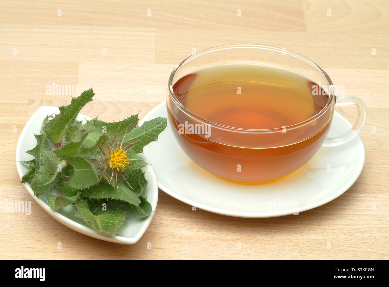Herb tea made of medicinal plant blessed thistle thistle cardo cardo ...