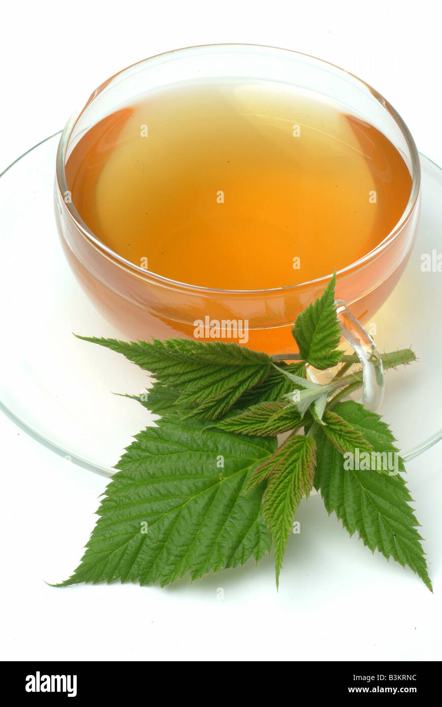 Raspberrytea hi-res stock photography and images - Alamy