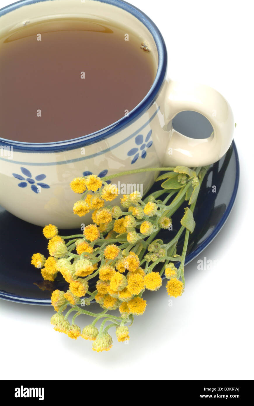 Herbtea made balsamita major alecost hi-res stock photography and ...