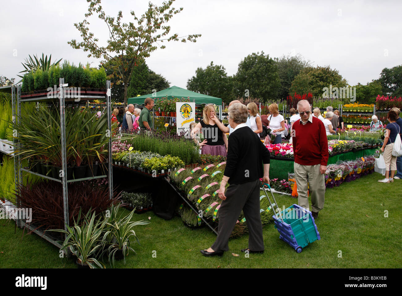 people buying plants at the gardeners weekend an annual show held at kings heath park birmingham west midlands uk Stock Photo