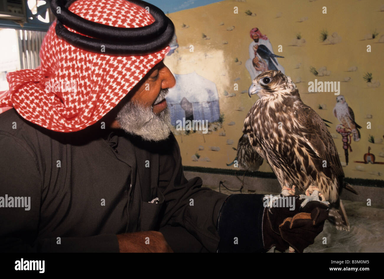 Middle Eastern Falconry