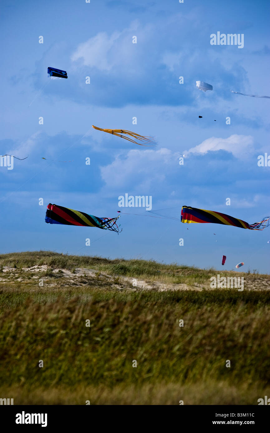 Kites fly on the beach at St. Peter Ording, SchleswigHolstein, North
