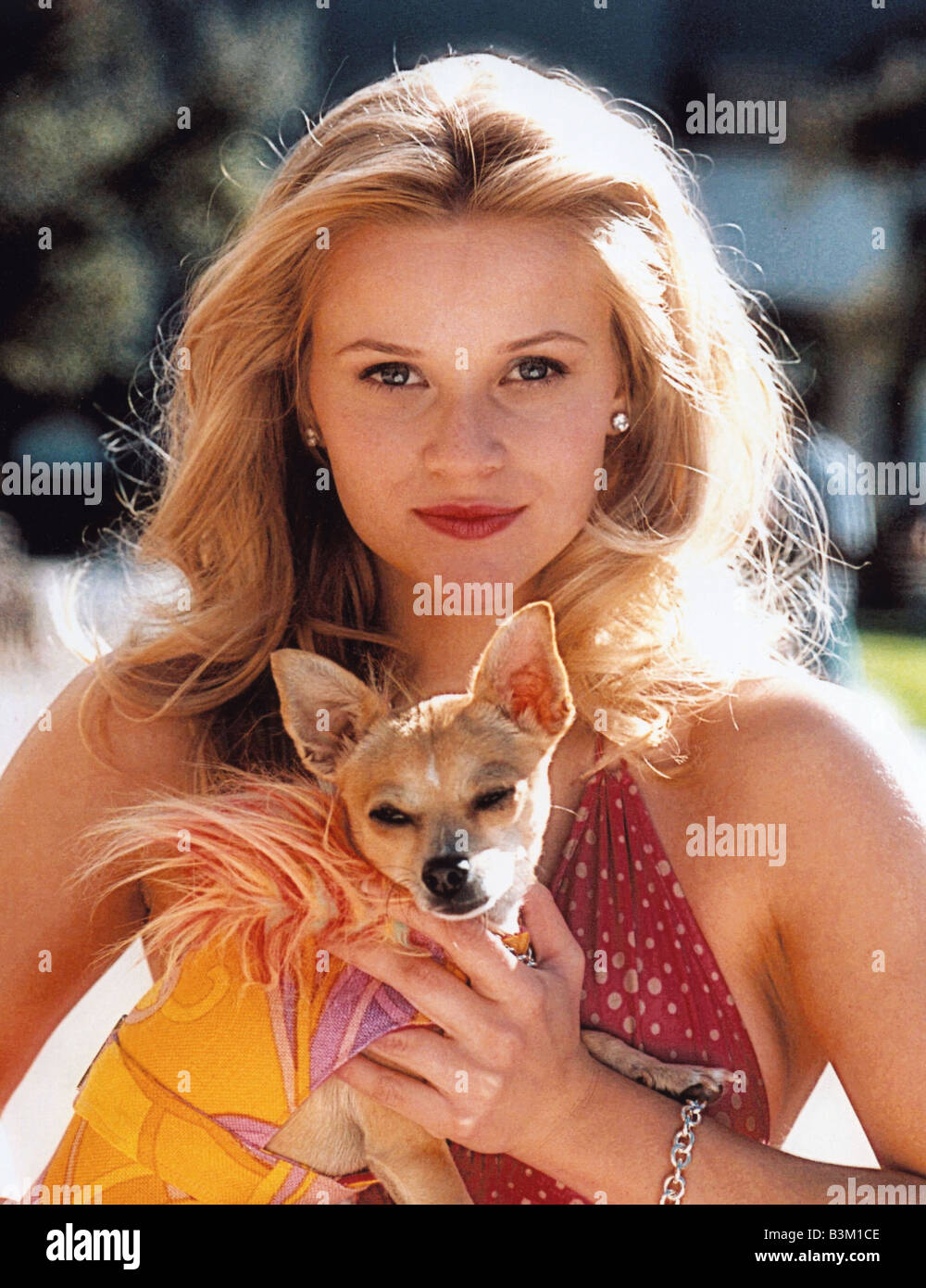 Legally Blonde 2: Red, White & Blonde (2003) on IMDb: Movies, TV,  Celebs, and more