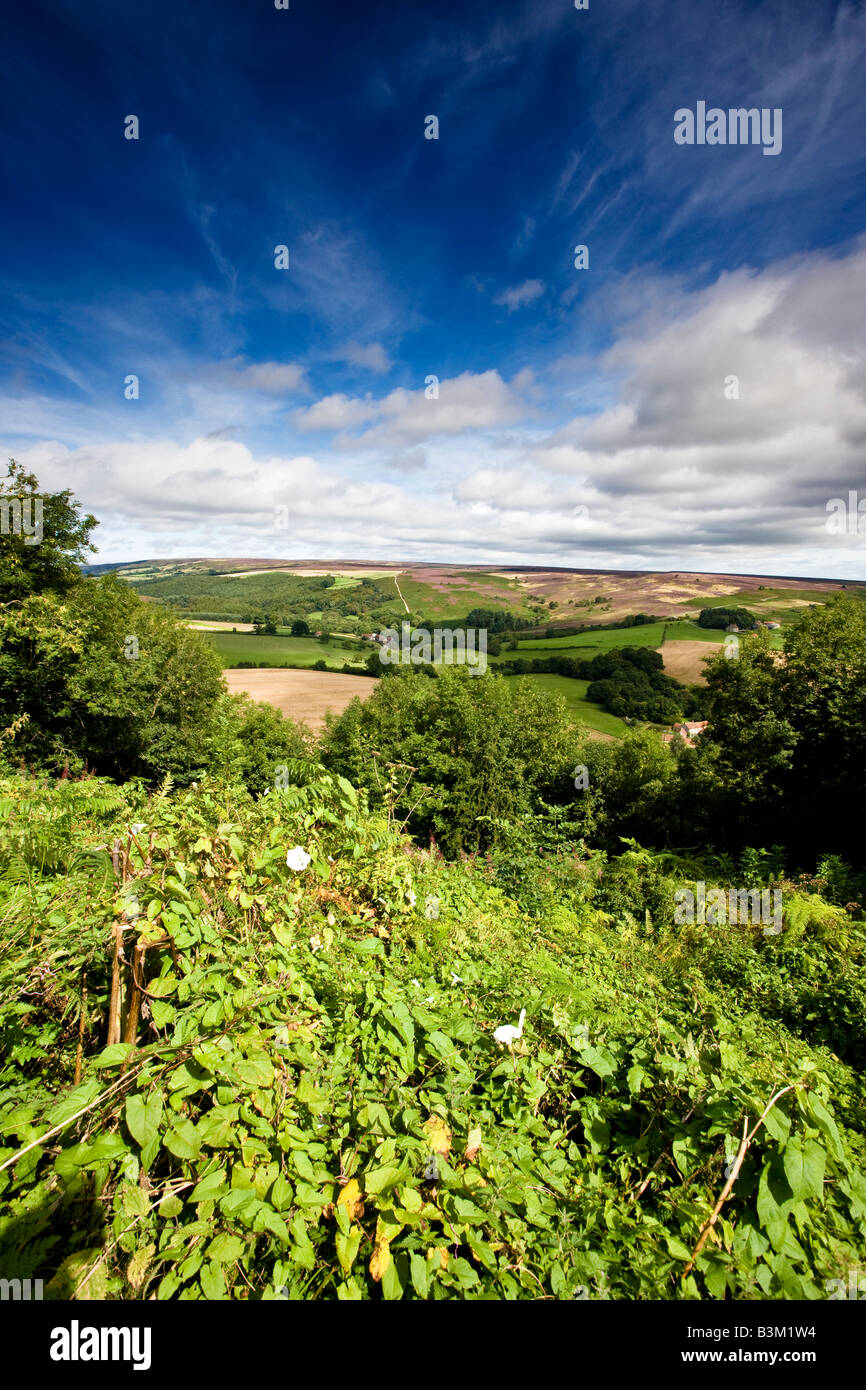 surprise View Gillamoor North York Moors National Park Stock Photo