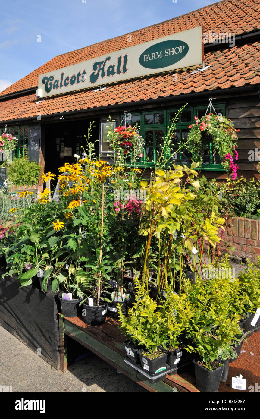 Calcott Hall Farm Shop and selection of garden plants for sale Stock Photo