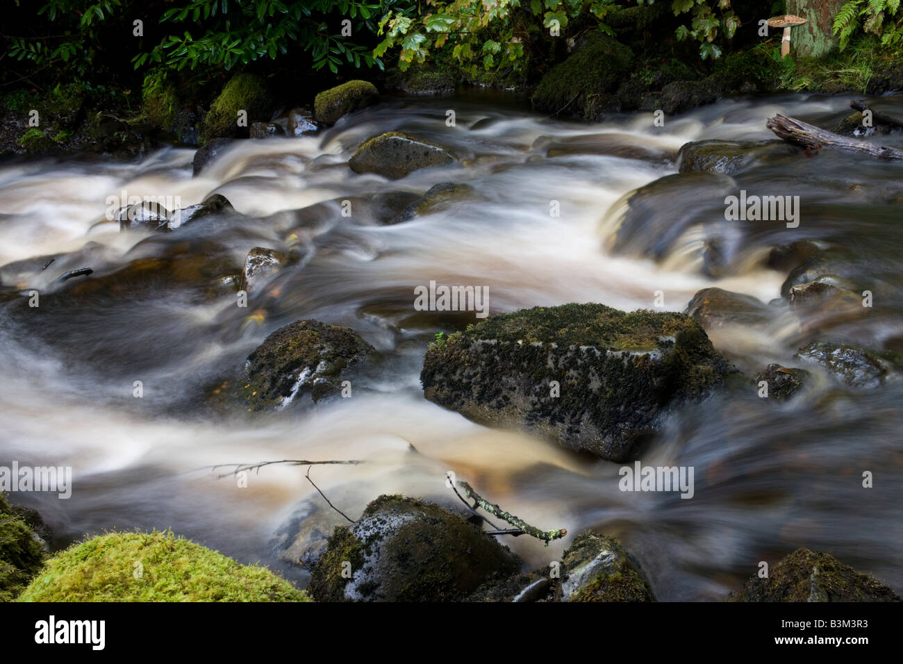 Woodland stream in northwest Scotland Stock Photo