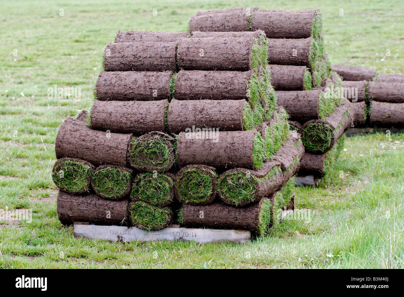 Turf Stacking Stacks of cut turf rolls UK Stock Photo - Alamy