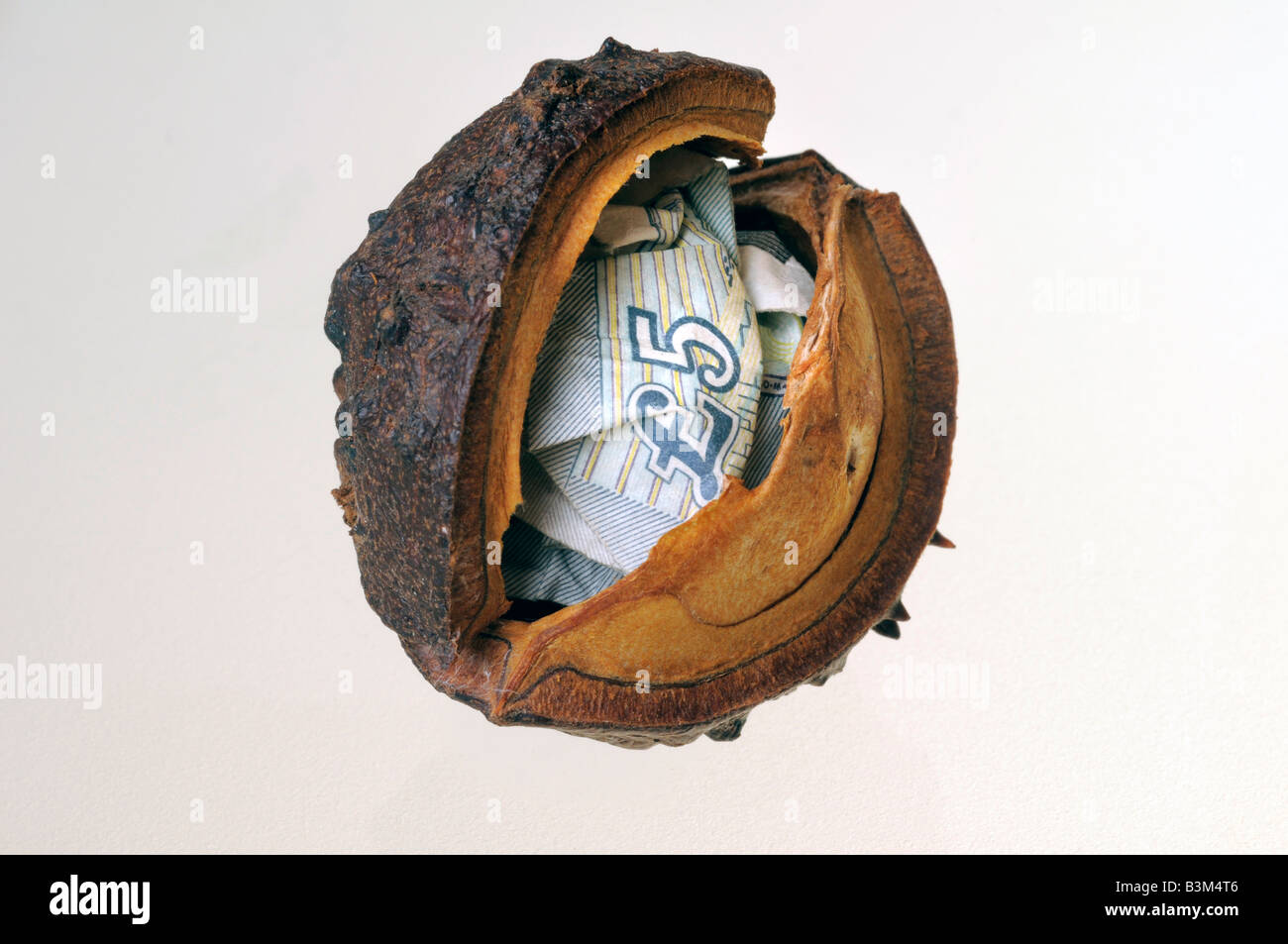 investment, nest egg,savings account Stock Photo Alamy