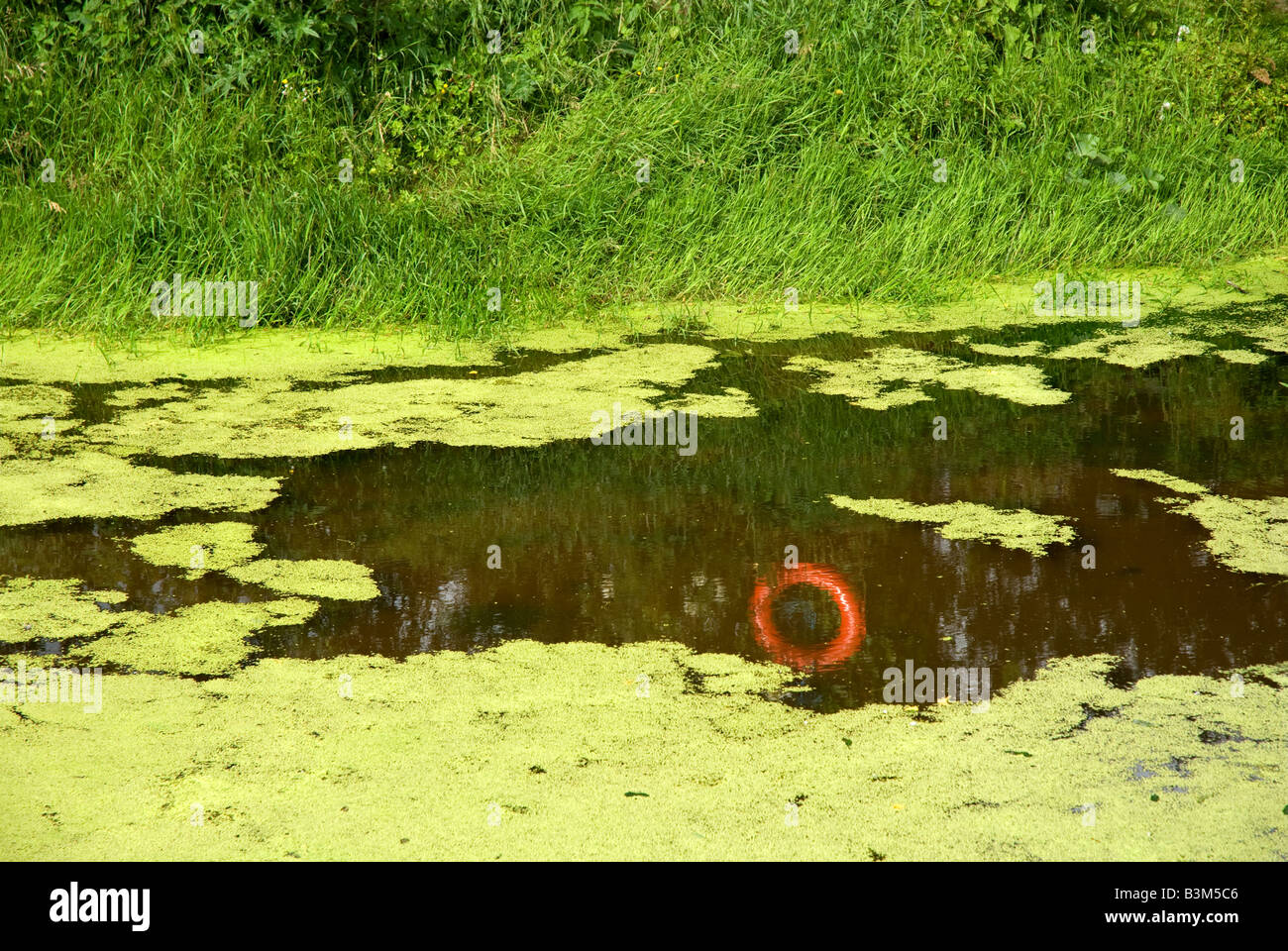 Reflection of red/orange life buoy in weed-covered pond Stock Photo