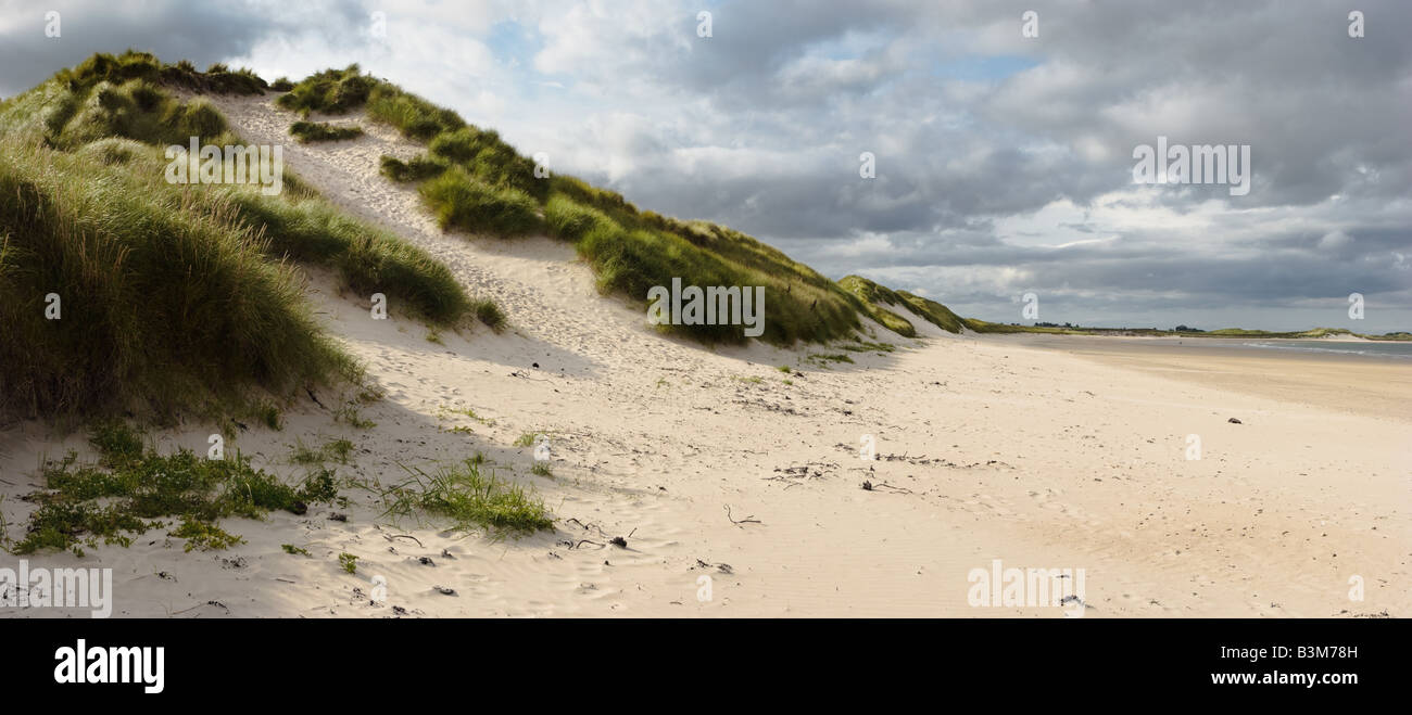 Sand dunes at Beadnell Bay Northumberland United Kingdom Stock Photo