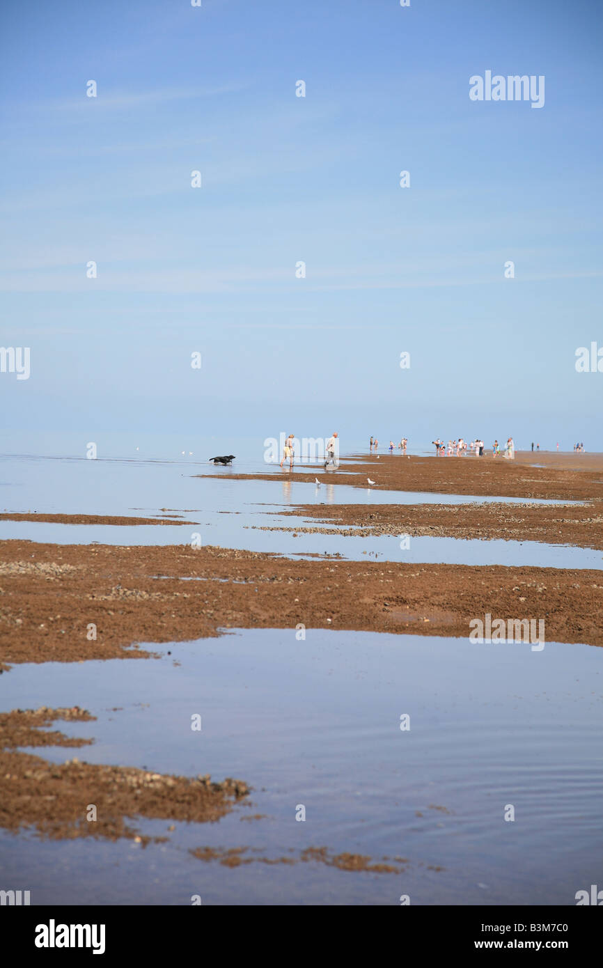 People and a dog on the shoreline at Old Hunstanton, Norfolk Stock Photo