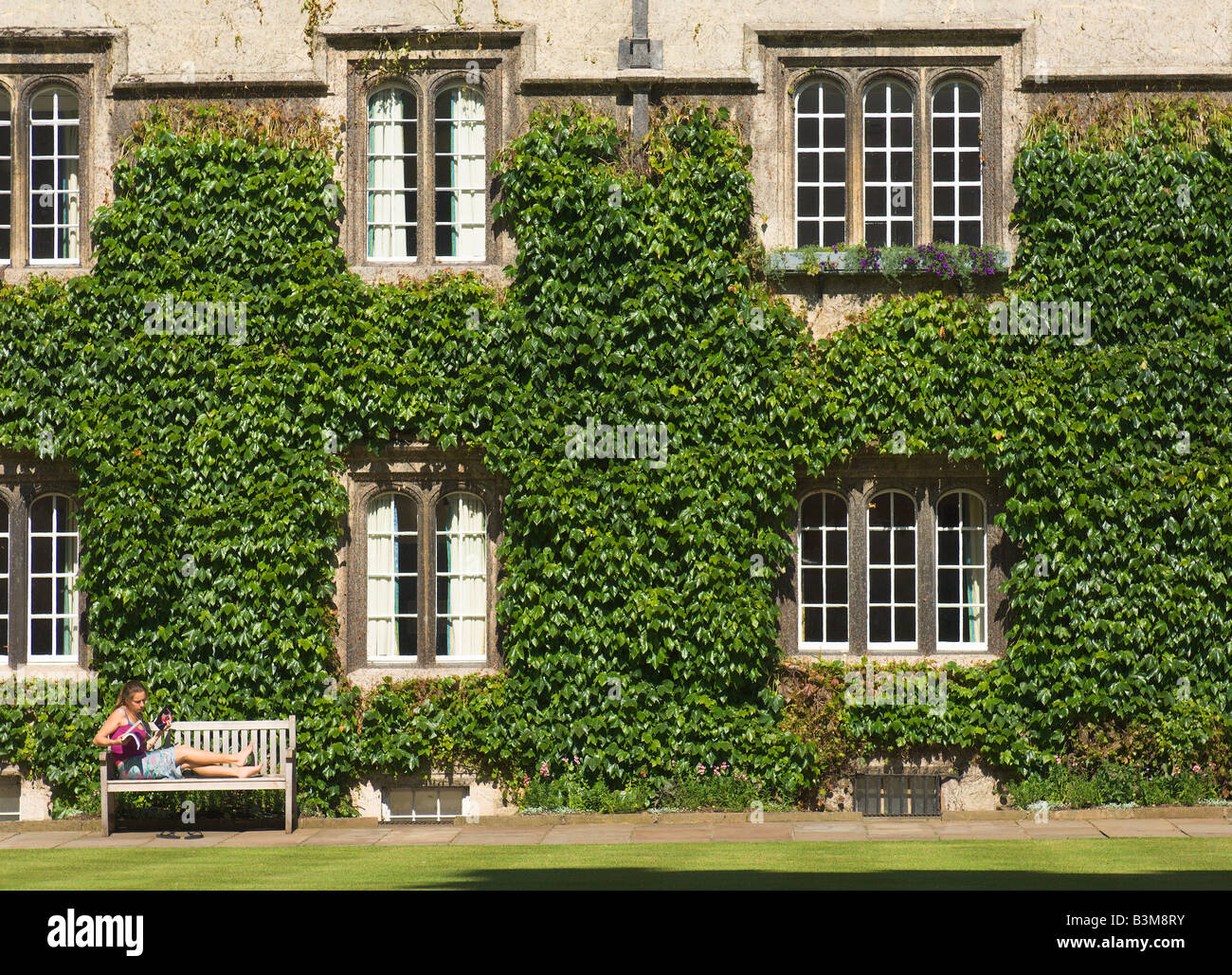 Student studying in the quadrangle at Exeter college, university of Oxford, England. Stock Photo
