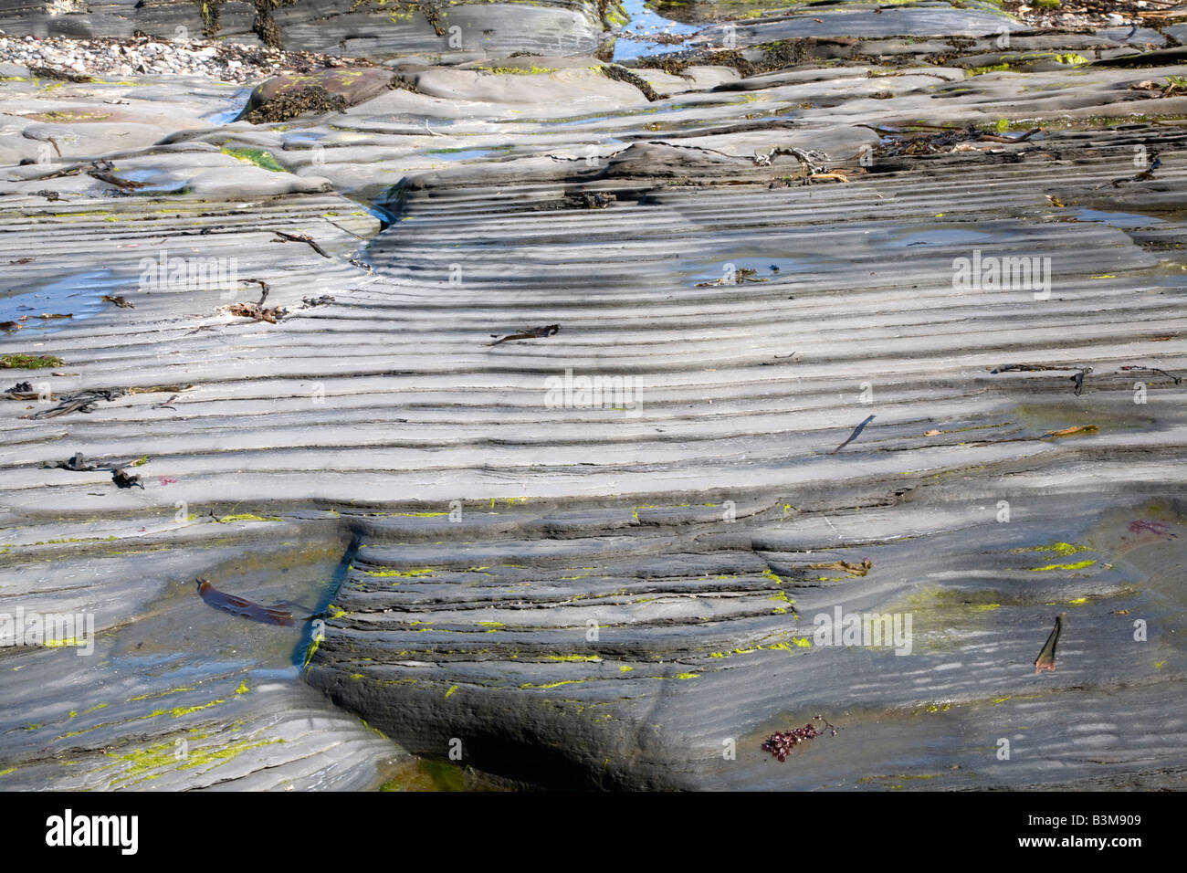 Interesting patterns formed through weathering of the limestone rocks