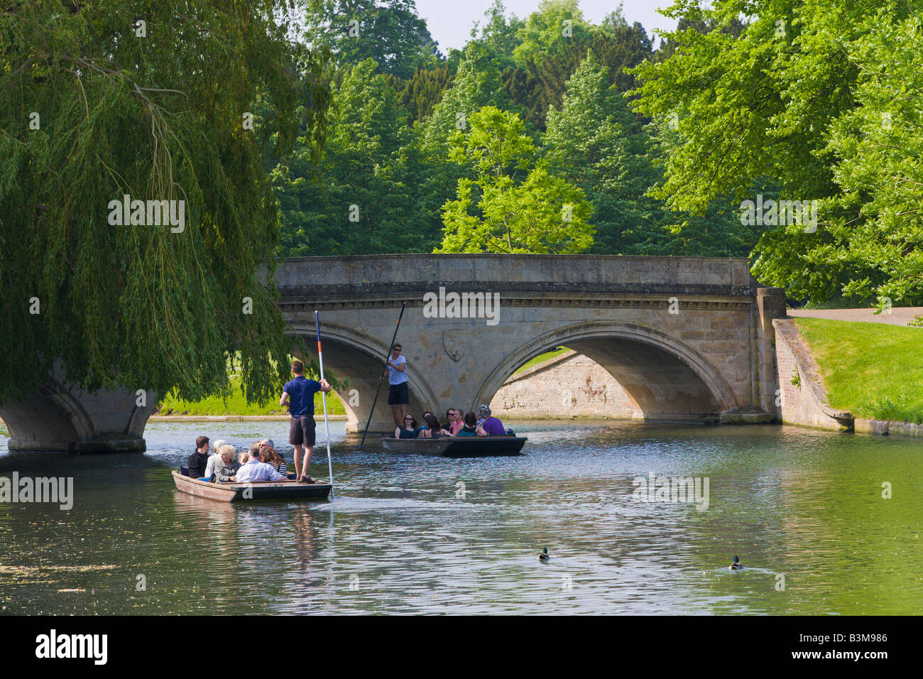 Punting on River Cam, Trinity Bridge, Cambridge, England Stock Photo