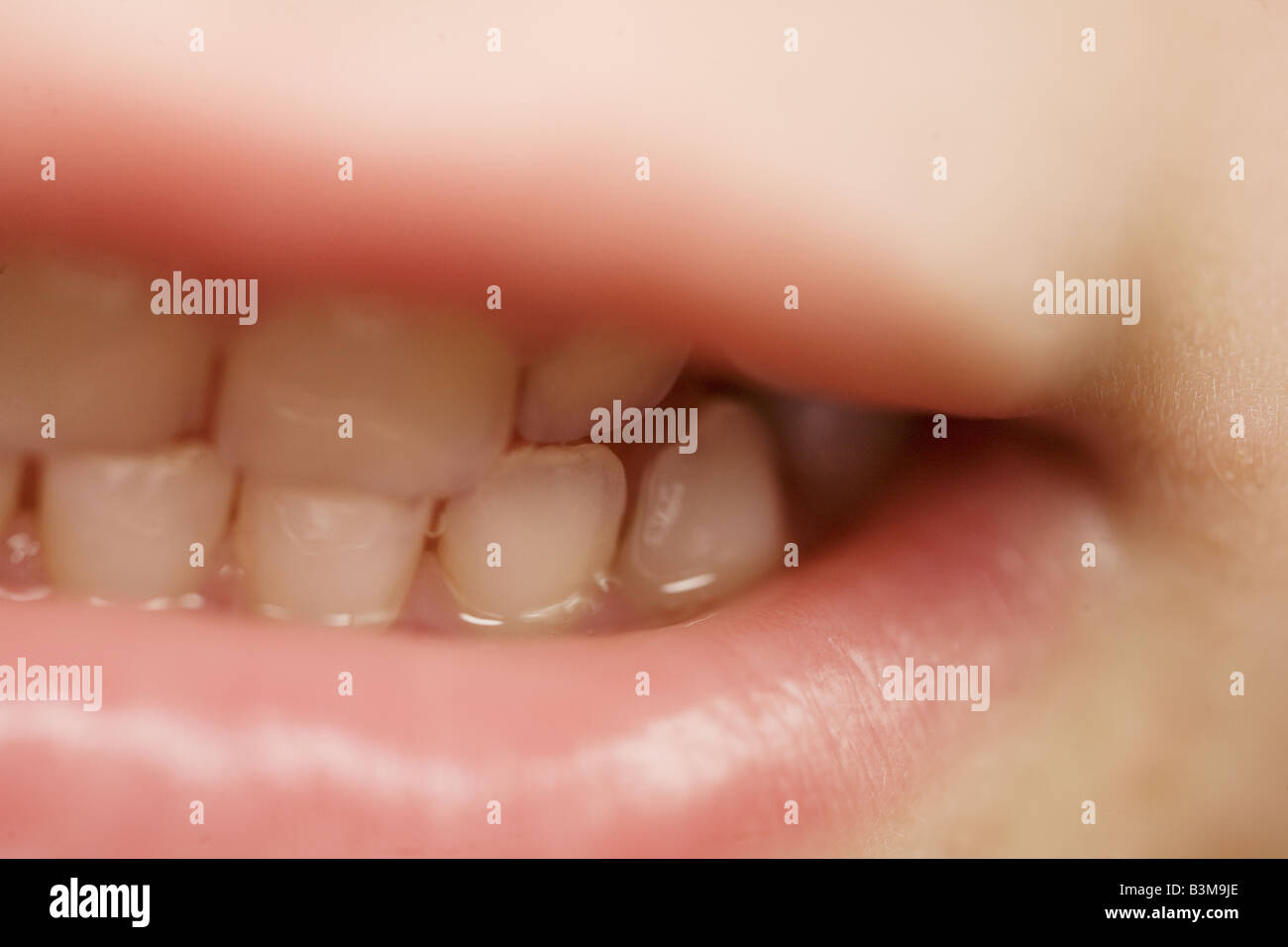 Close up of a toddler's mouth showing her teeth Stock Photo Alamy