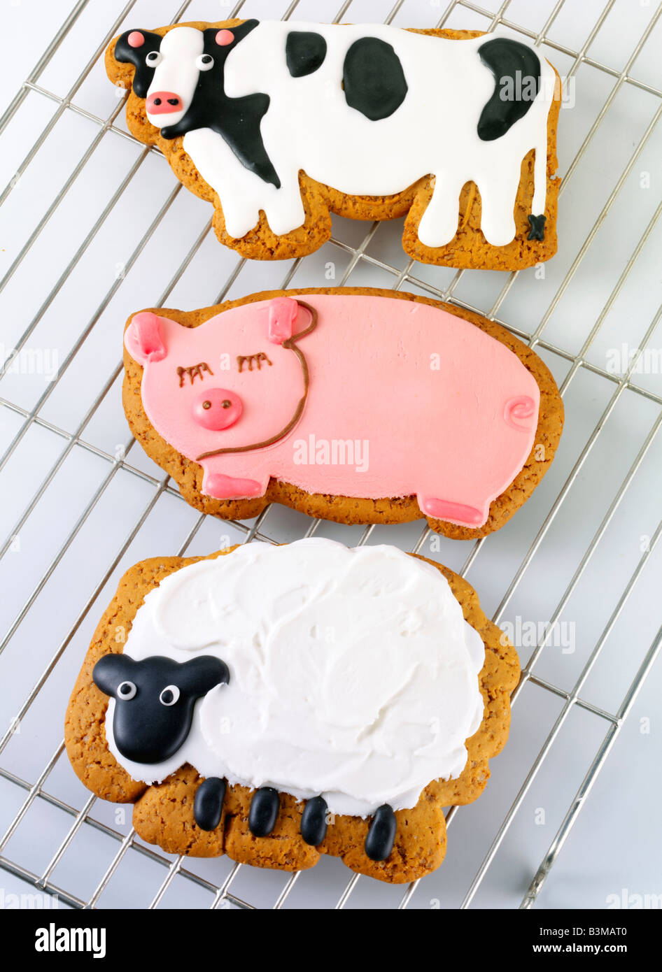 ICED ANIMAL SHAPED BISCUITS OR COOKIES Stock Photo Alamy