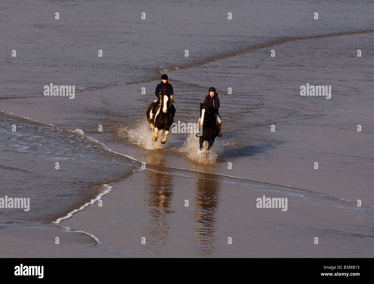Horses running  along the shore in the seaside town of Bundoran Co Donegal Stock Photo