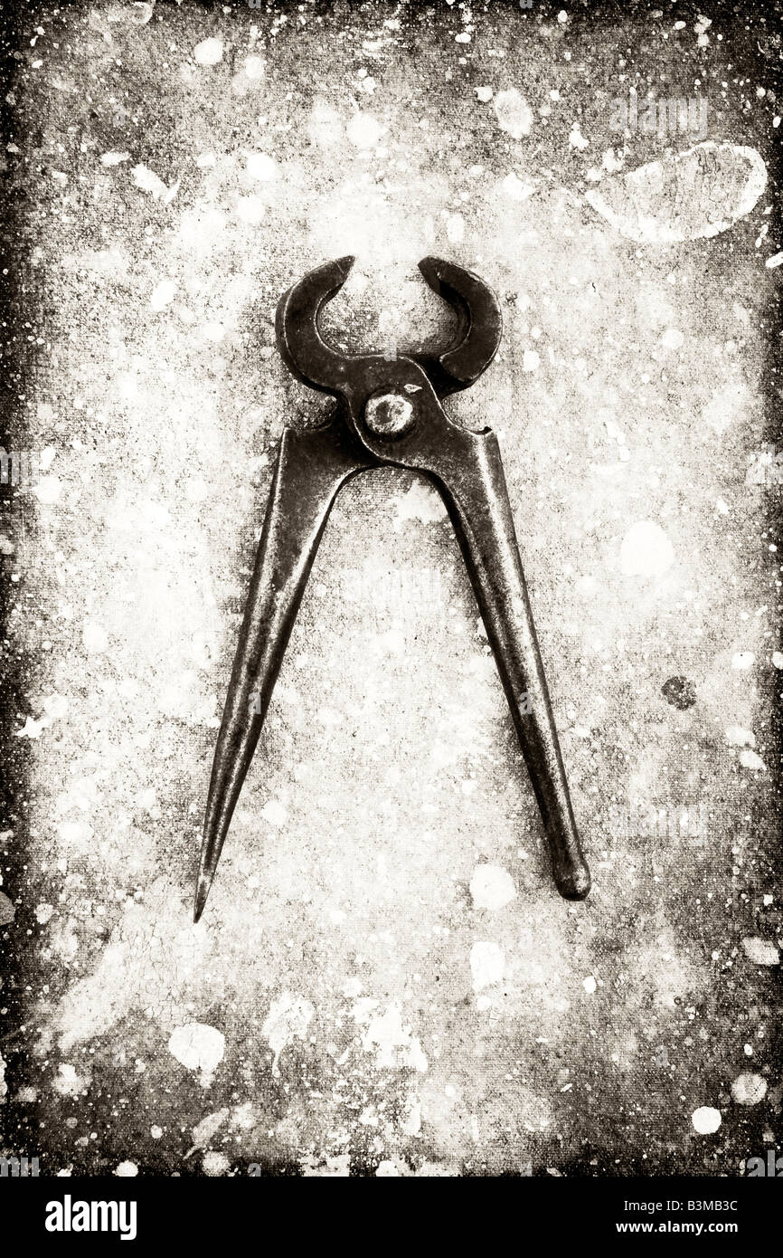 A fine art photo of pliers Stock Photo Alamy