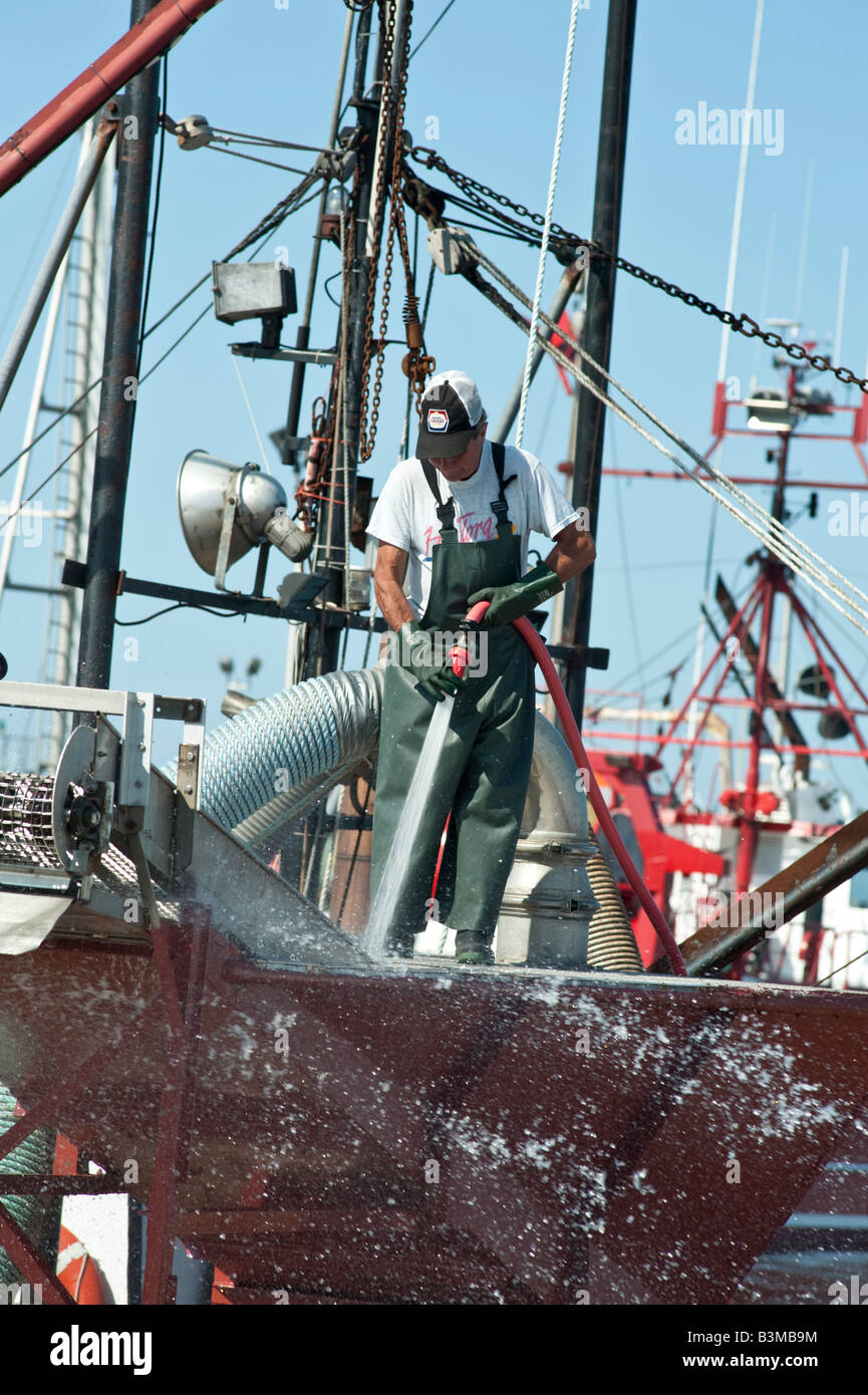 Fish processing plant hires stock photography and images Alamy