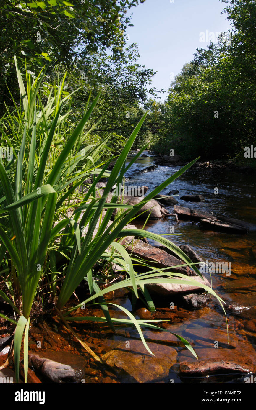 The Laughing Whitefish River American Beautiful Landscape Upper