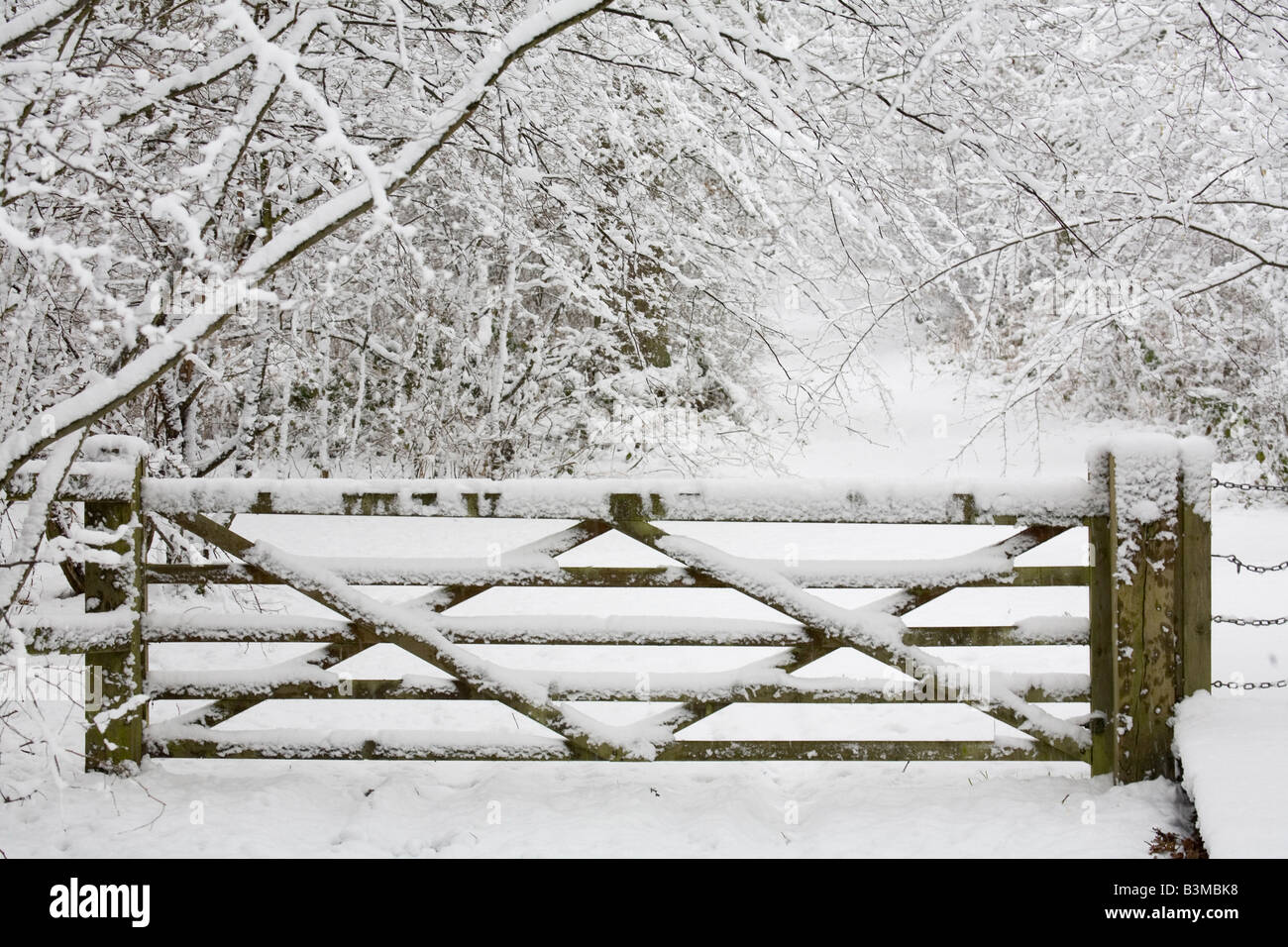 Traditional wooden gate covered in snow in a woodland winter scene Stock Photo