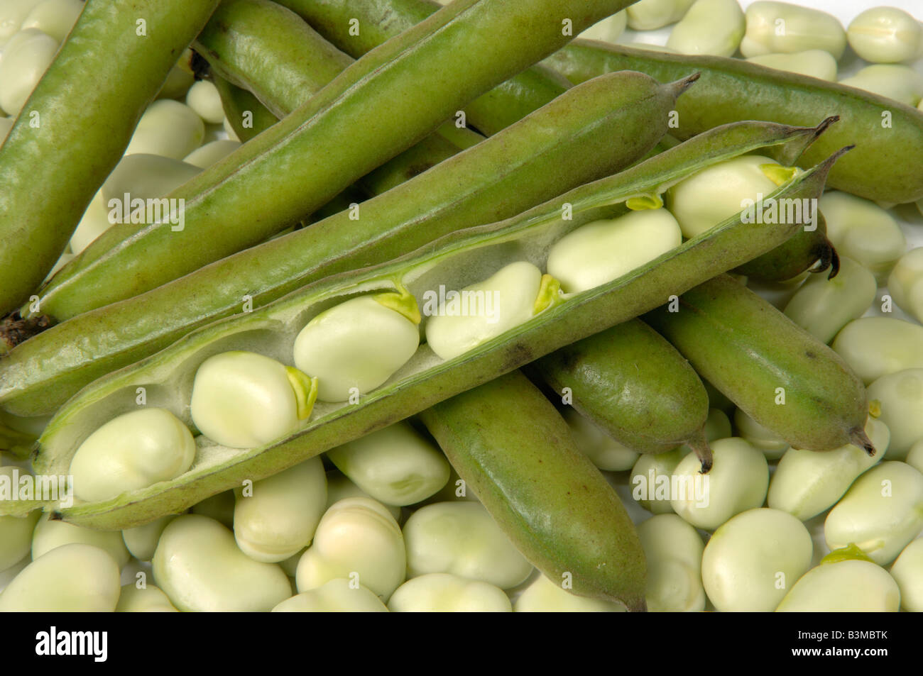 English grown vegetable produce typical supermarket bought broad beans whole and opend pods Stock Photo