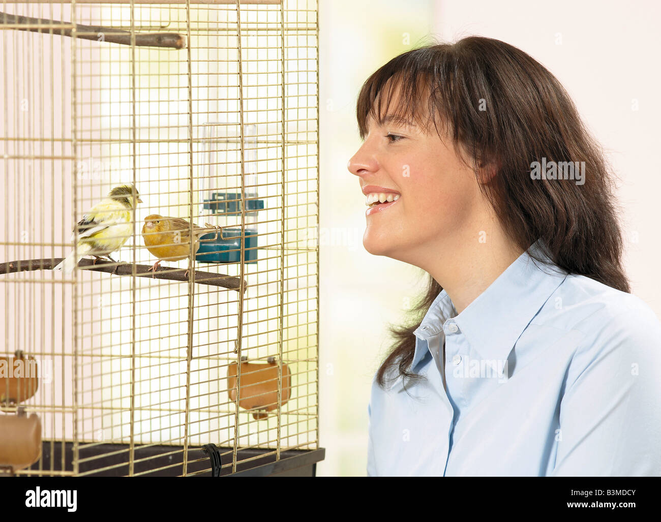 canaries and woman / Stock Photo