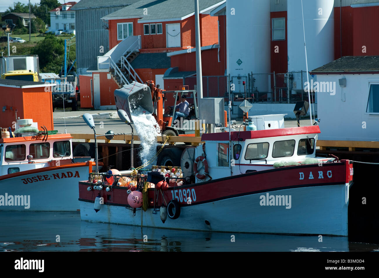 Fish processing plant hires stock photography and images Alamy