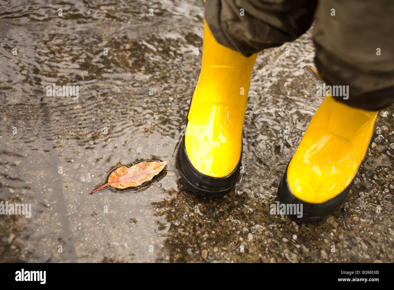 A toddler boy standing in a puddle wearing yellow galoshes after a rainstorm. Stock Photo