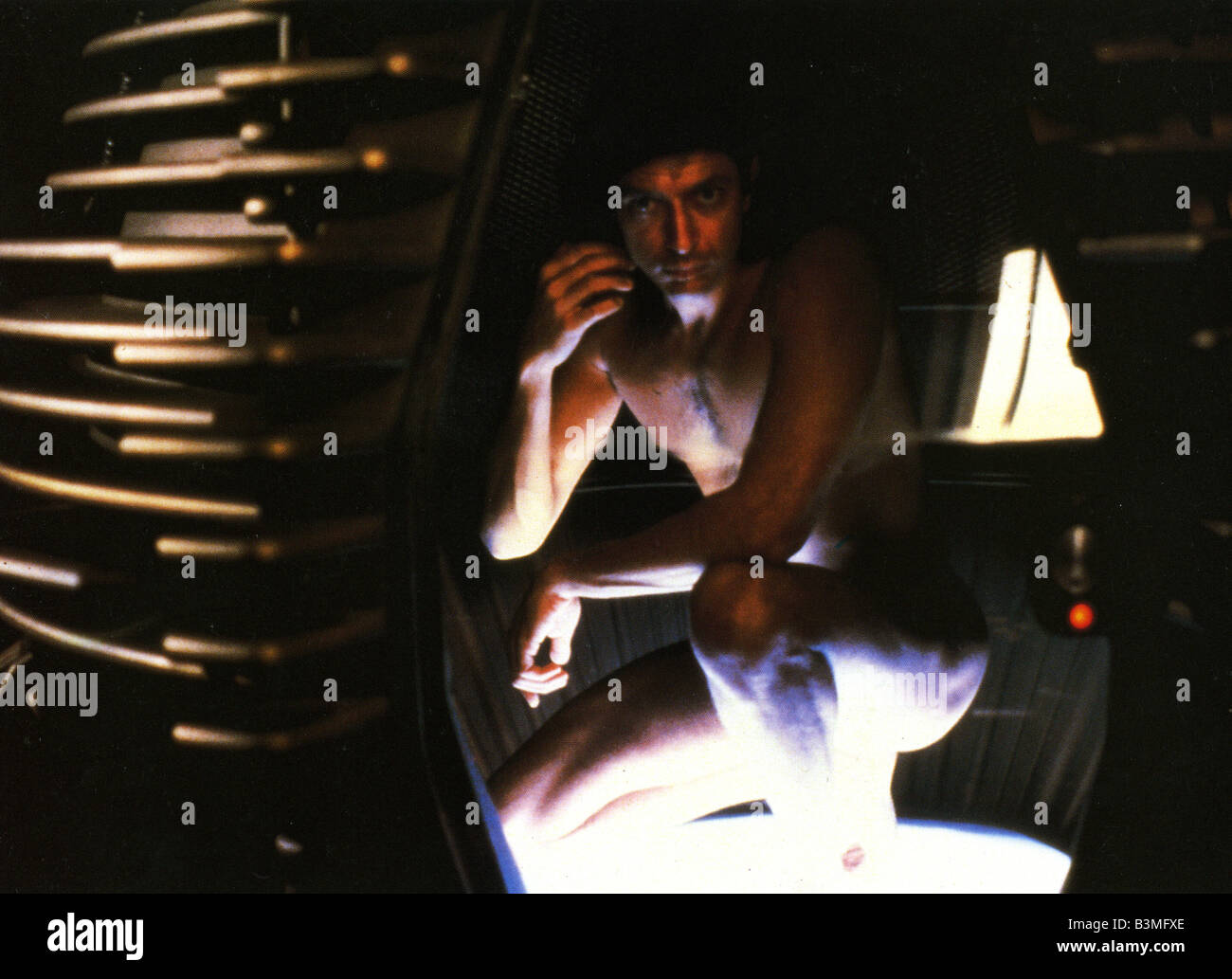 THE FLY 1986 TCF film with Jeff Goldblum Stock Photo Alamy