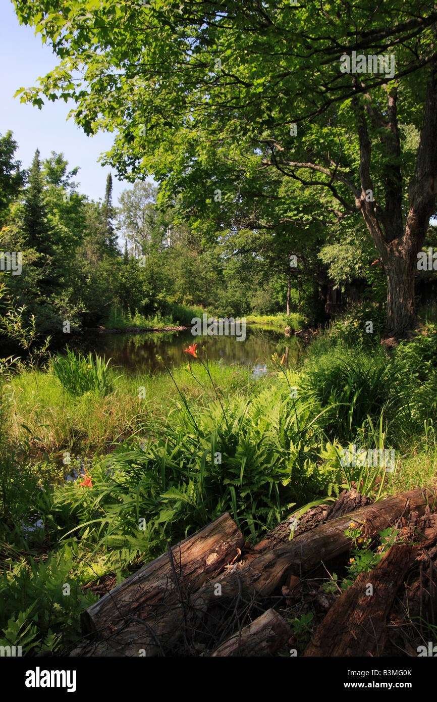 The Laughing Whitefish River American beautiful landscape Upper