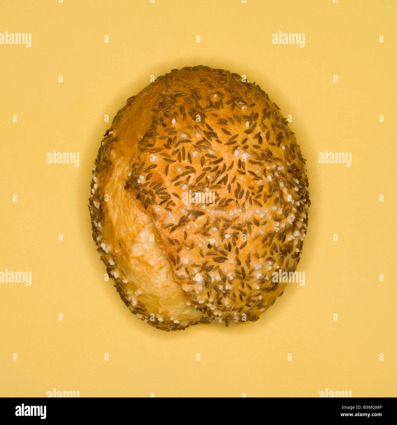 Caraway seed bread roll, elevated view Stock Photo Alamy