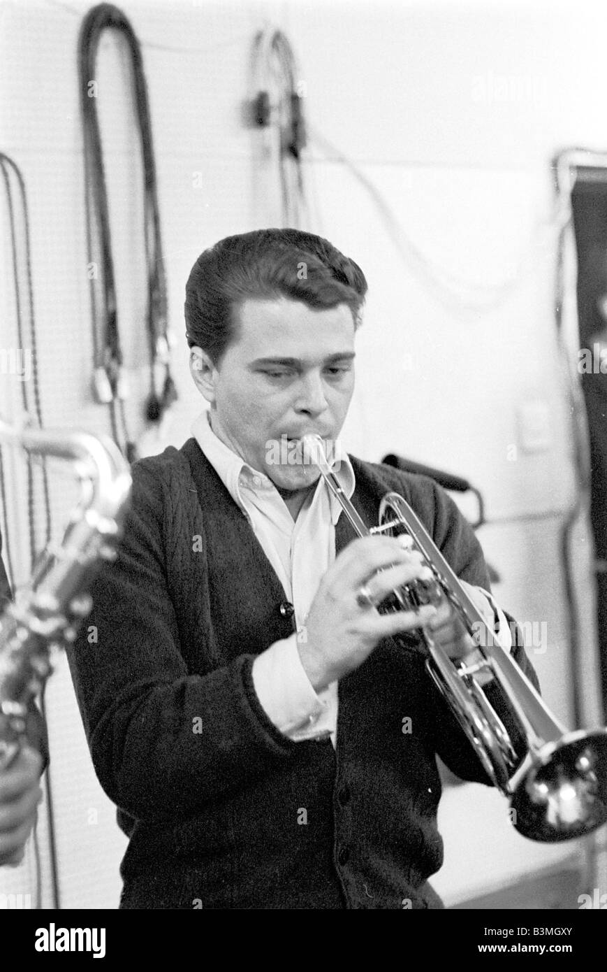 The horns hires stock photography and images Alamy