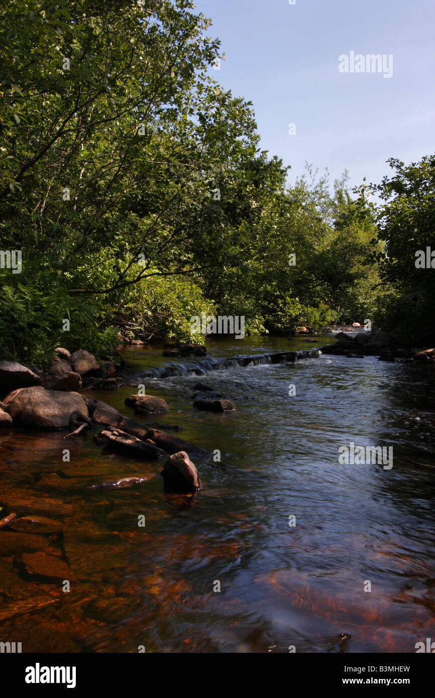 The Laughing Whitefish River American beautiful landscape Upper