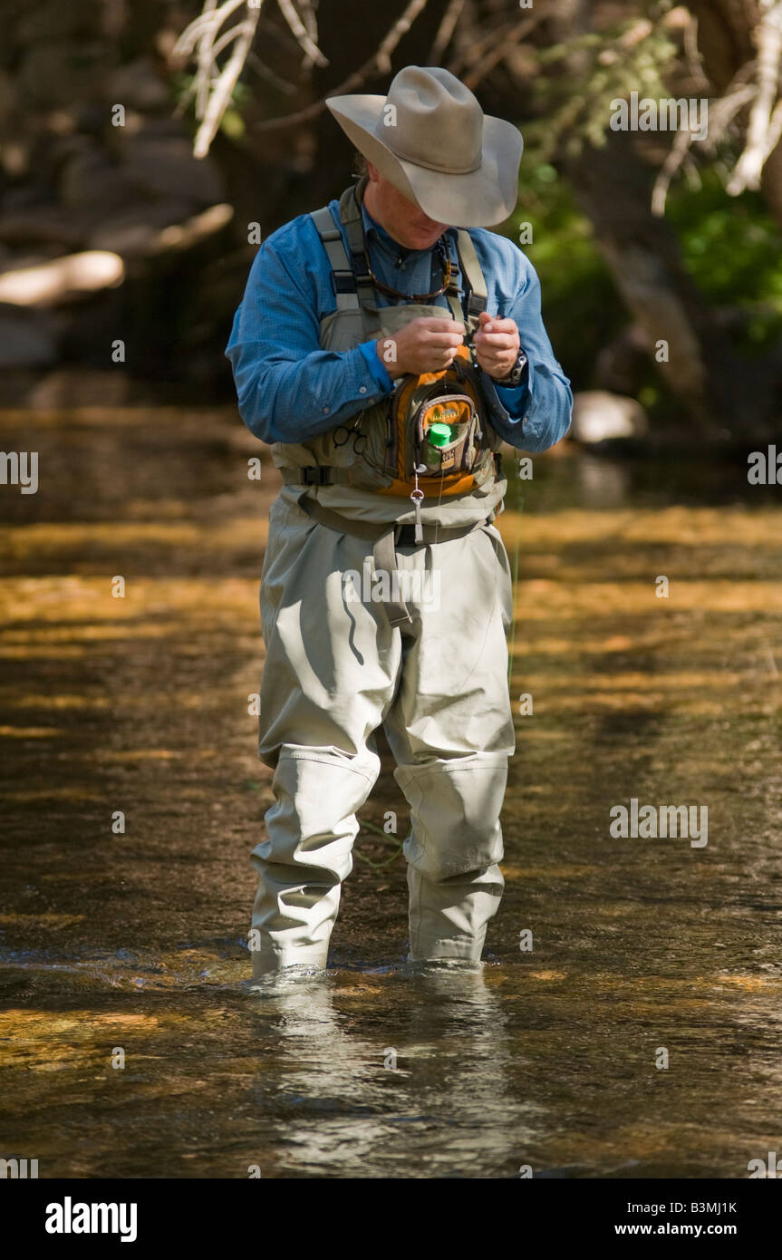 https://c8.alamy.com/comp/B3MJ1K/local-resident-fly-fishes-for-trout-on-gore-creek-vail-colorado-in-B3MJ1K.jpg