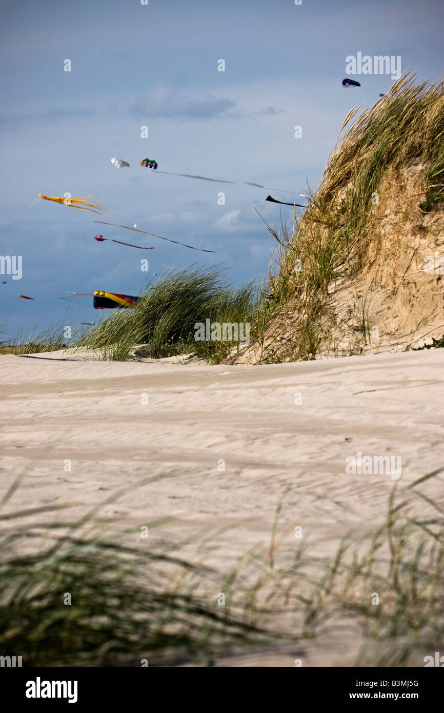 Kites fly on the beach at St. Peter Ording, SchleswigHolstein, North