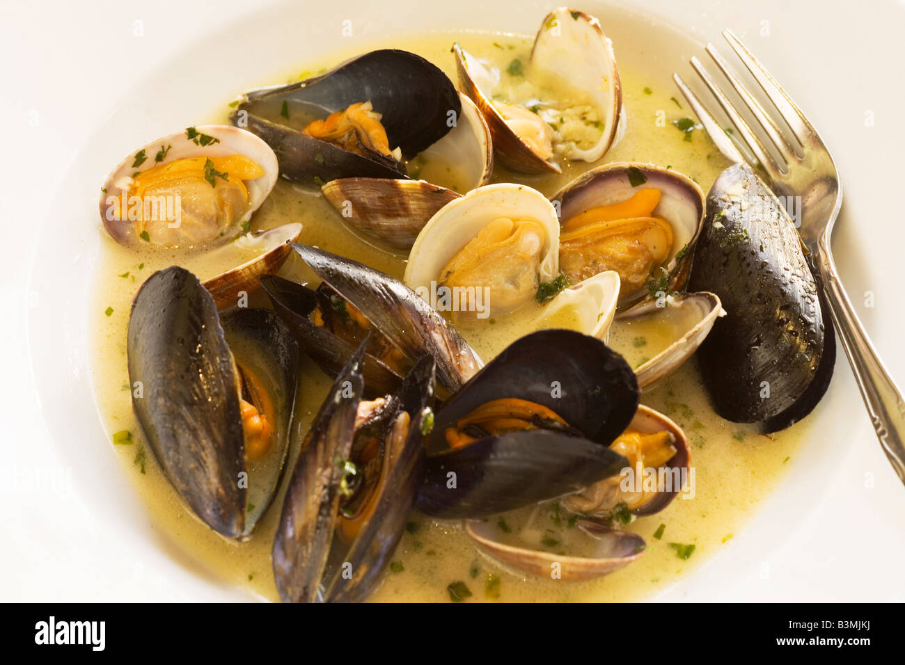 clams and mussels in a white wine and garlic broth Zookers Cafe