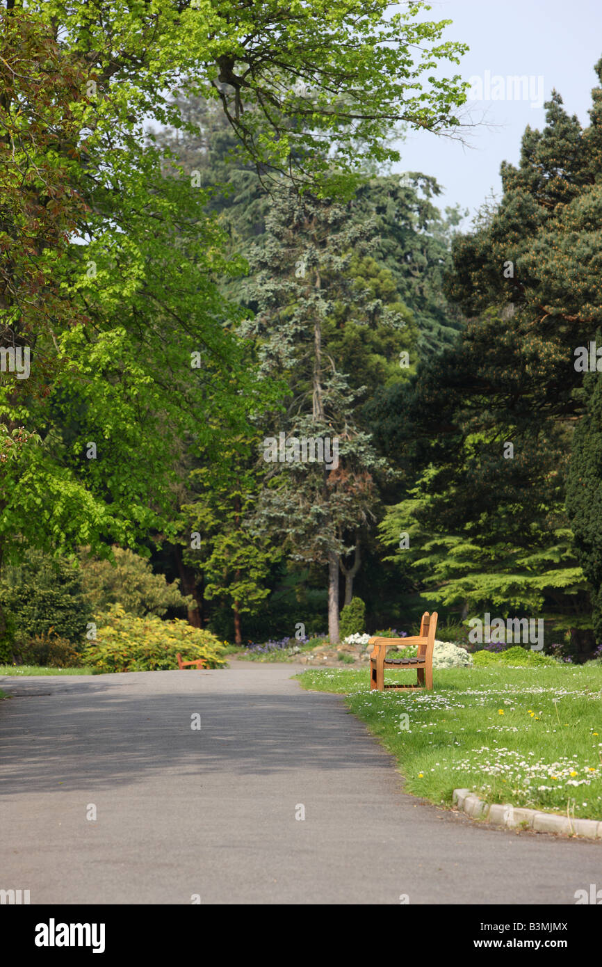 Empty park benches in Dublin's Botanic Gardens Stock Photo