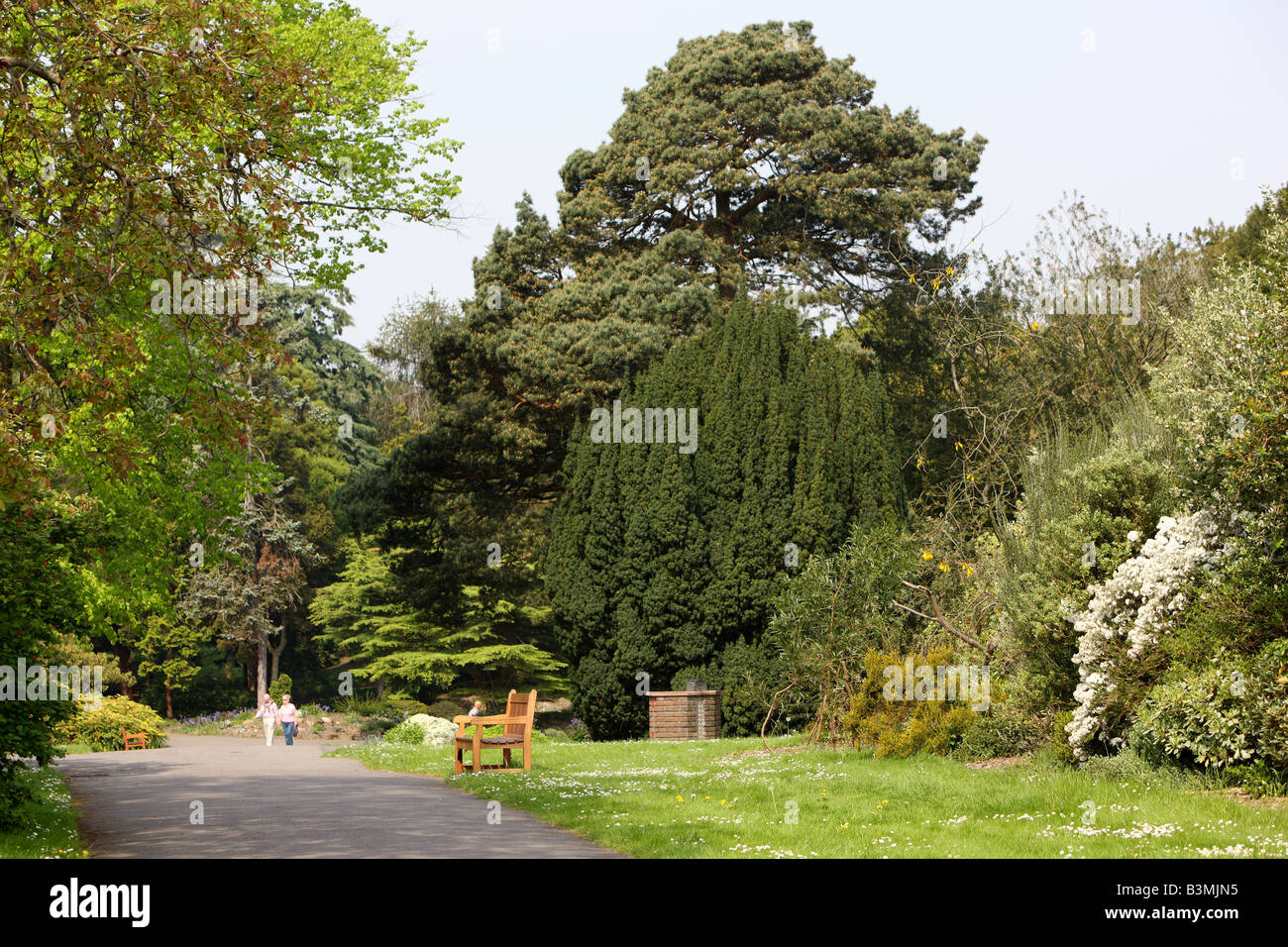 People walking in the Botanic Gardens in Dublin on a beautiful summers day Stock Photo