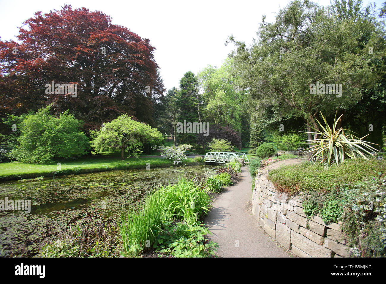 Beautiful lake area at the Botanic Gardens Stock Photo