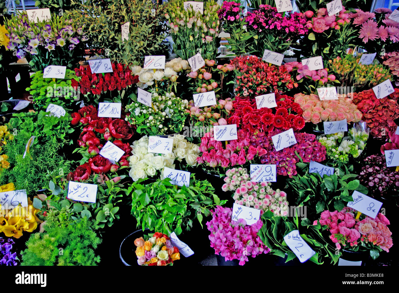 France Paris Flower stall in Paris street Stock Photo - Alamy