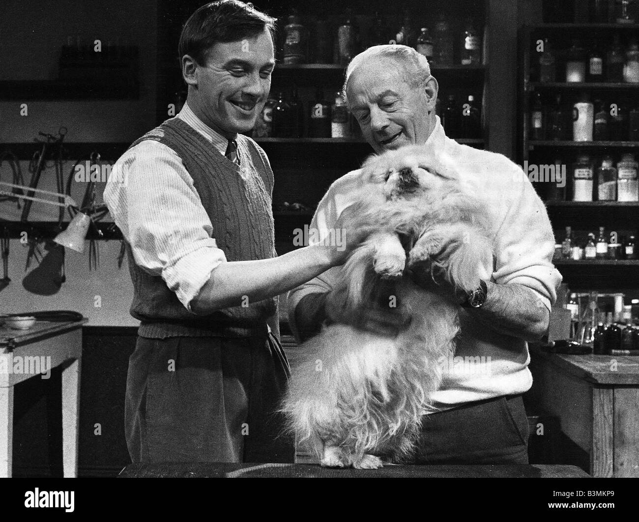 All Creatures Great and Small TV programme 1980 Stock Photo